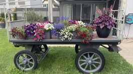 Gepäckwagen SBB 1968  als Blumenwagen / Verkaufstand