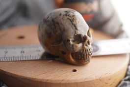 Holz Versteinert  Skull 40mm  –Edelsteinstube Rausverkauf