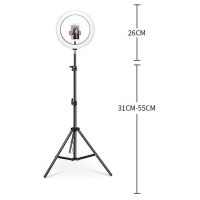 10 Zoll Tripod mit Ringlicht