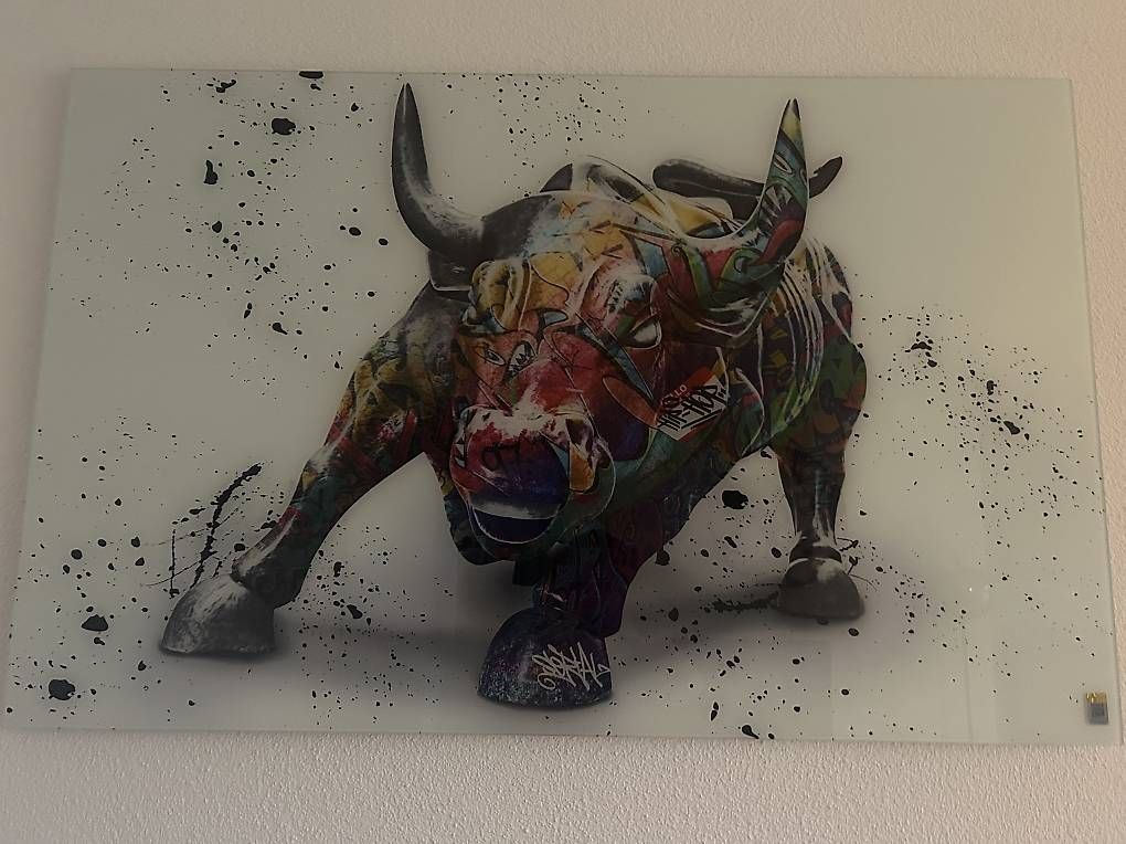Dipinti: Stier Acrylglass – Usato da Neuenhof venduto da Raf03