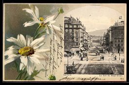 Genève, La Rue du Mont-Blanc, Blumen-Pa