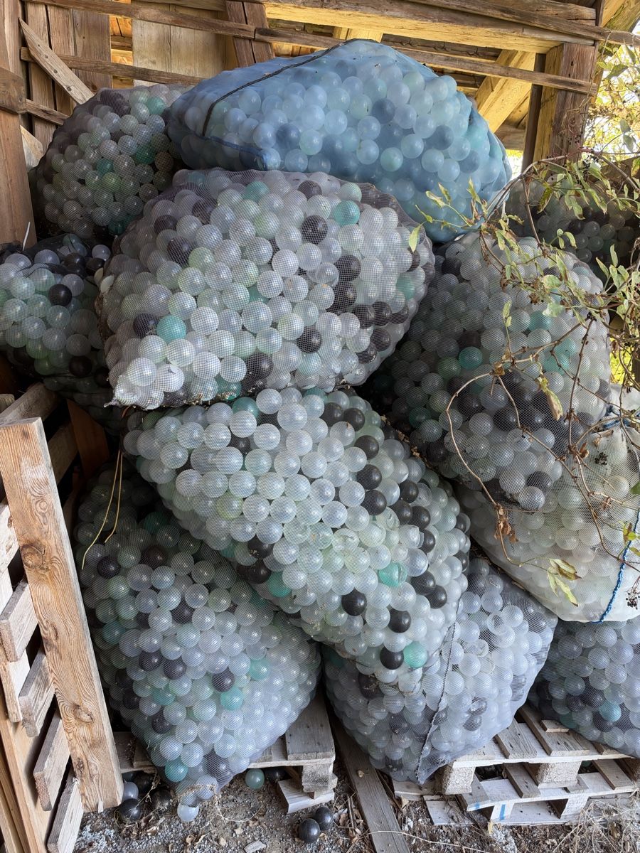 Tutte le decorazioni: Teichisolation Teichbälle – Usato da Stetten SH venduto da Daiderau0 2
