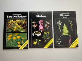 3 Hefte: Einheimische Pflanzen, Blüten, Berg-Heilkräuter