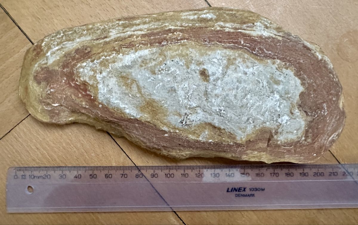Fossili: Versteinerung mit einem Fisch  – Usato da Winterthur venduto da mat_q5d5 2
