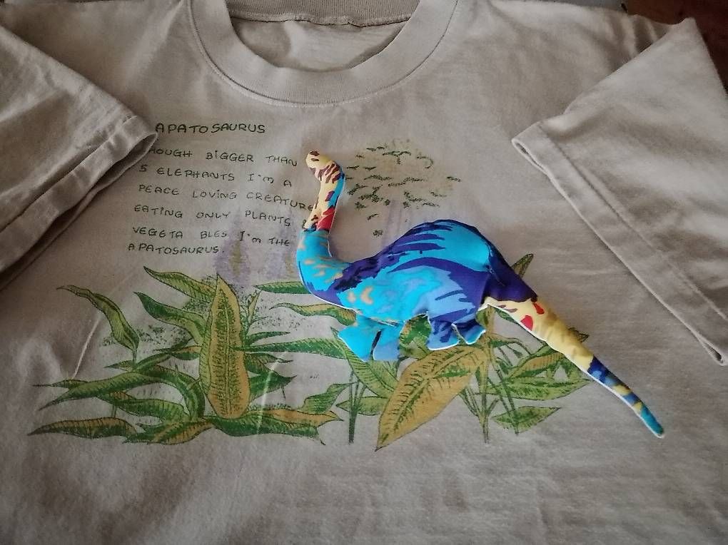 T-shirt: joli Tshirt avec motif dinosaure  – Usato da Martigny venduto da metaflex