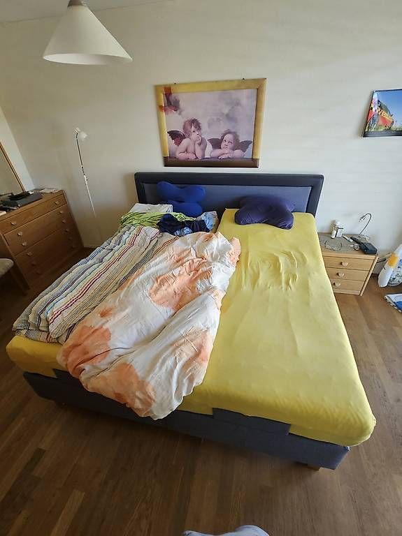 Pfister Betten: Boxspringbett – Gebraucht aus Schlatt TG von Marcelsch77 1