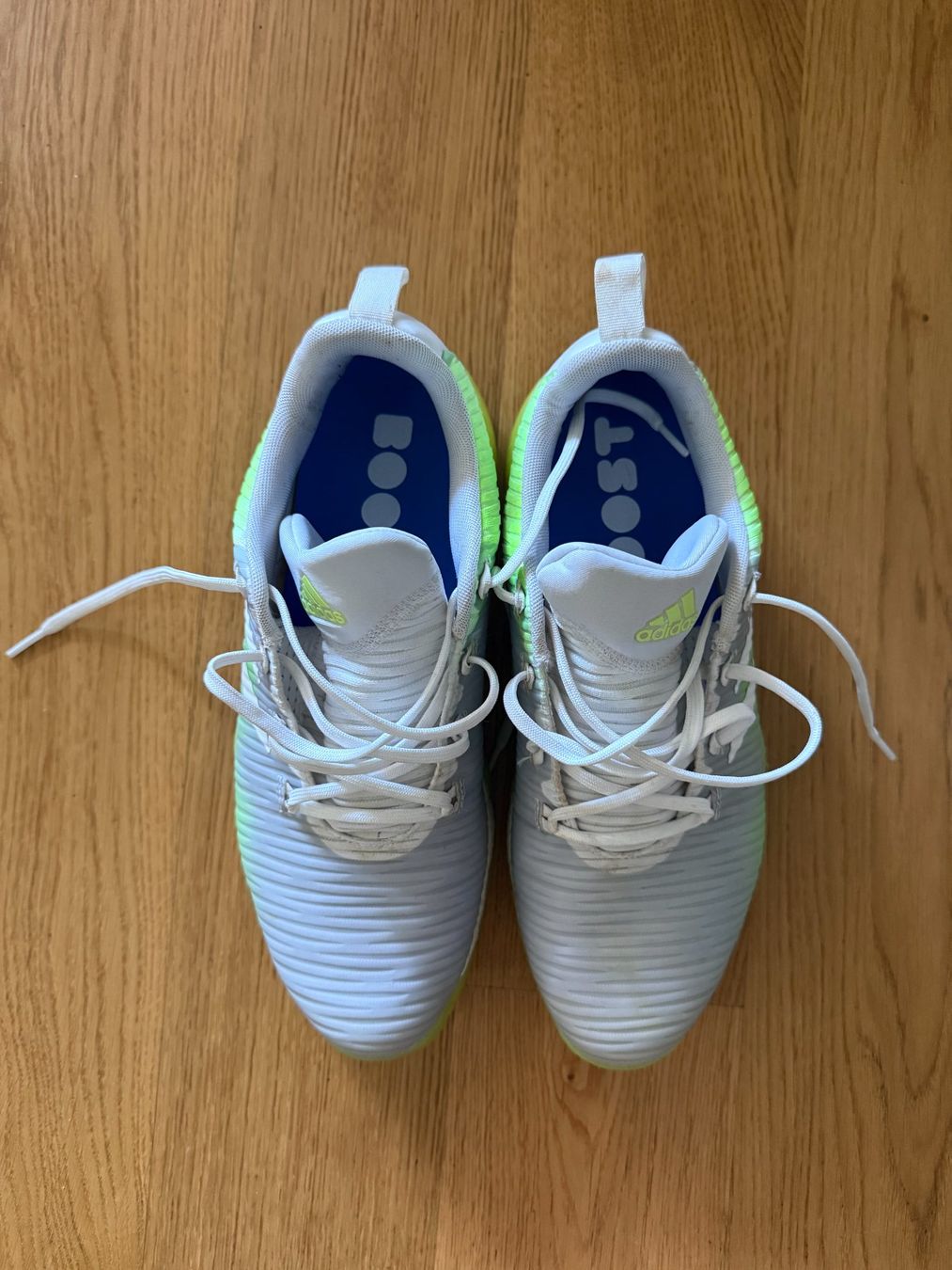 Adidas Herrenschuhe: Adidas Codechaos Golfschuhe - Grösse 44 – Gebraucht aus Glattpark(Opfikon) von Kate999