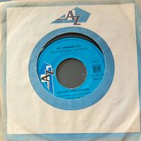 Vinyl-Single Michel Polnareff - Fat Madame