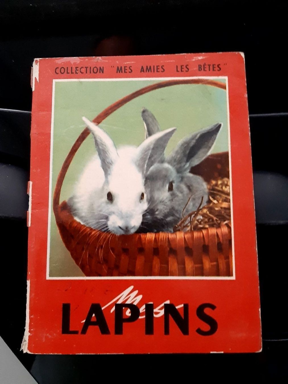 Libri: 2 livres sur les animaux – Usato da Le locle venduto da juliensaran 4