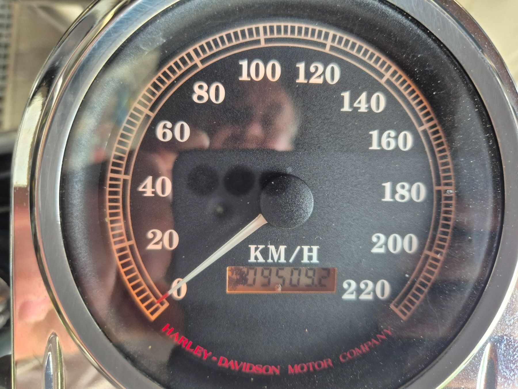 Harley-Davidson Route: Töff Harley Davidson – D'occasion à Stein AR par Bienli4 7