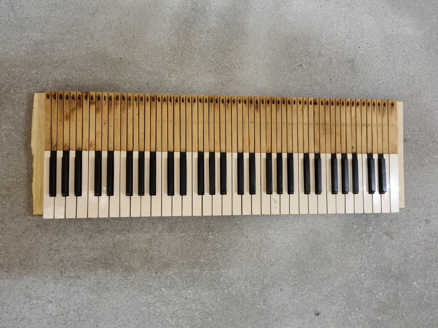 Strumenti musicali: Klaviertasten – Usato da Kriens venduto da Bazinga1 1