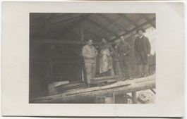 LANDWIRTSCHAFT/ALPWIRTSCHAFT/SEILBAHNBAU 1920