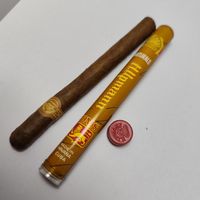 H. Upmann Cigar tube Naturals EMS Made in Havana Cuba, dry 