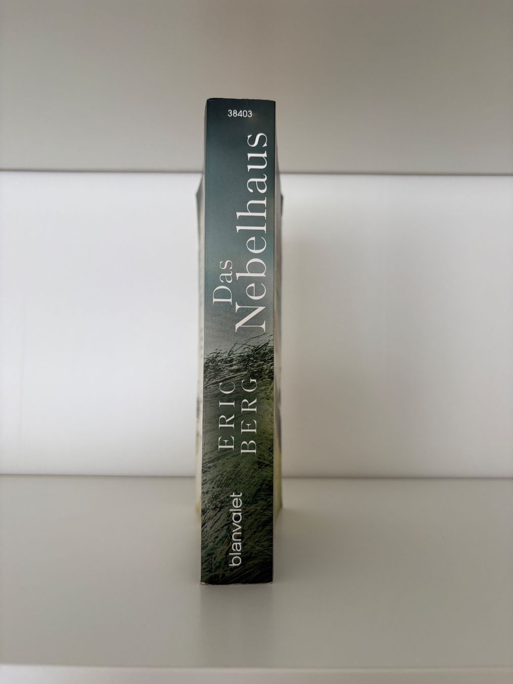 Libri: Das Nebelhaus - Eric Berg – Usato da Steffisburg venduto da elsa.catalina 2
