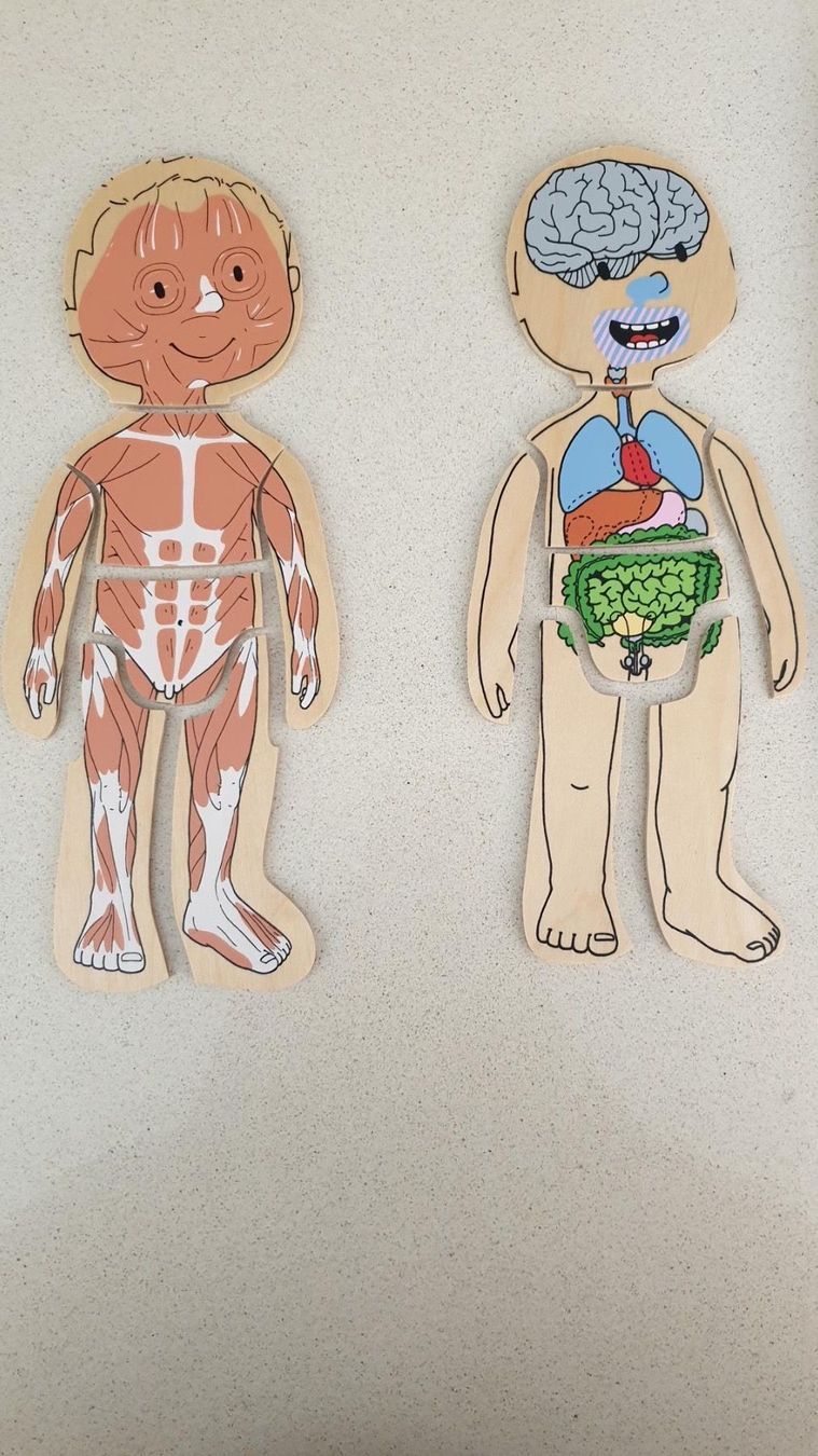 Puzzle: Puzzle Body/ Jungen – Usato da Würenlos venduto da JRP_71 4