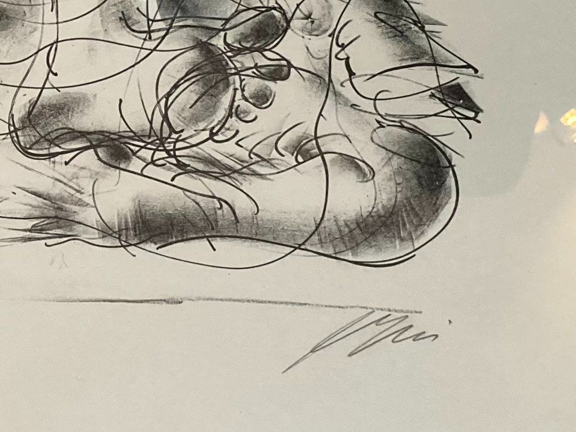 Grafica & Litografie: Hans Erni, "Europa und der Stier" – Usato da Einsiedeln venduto da Brocki59 3