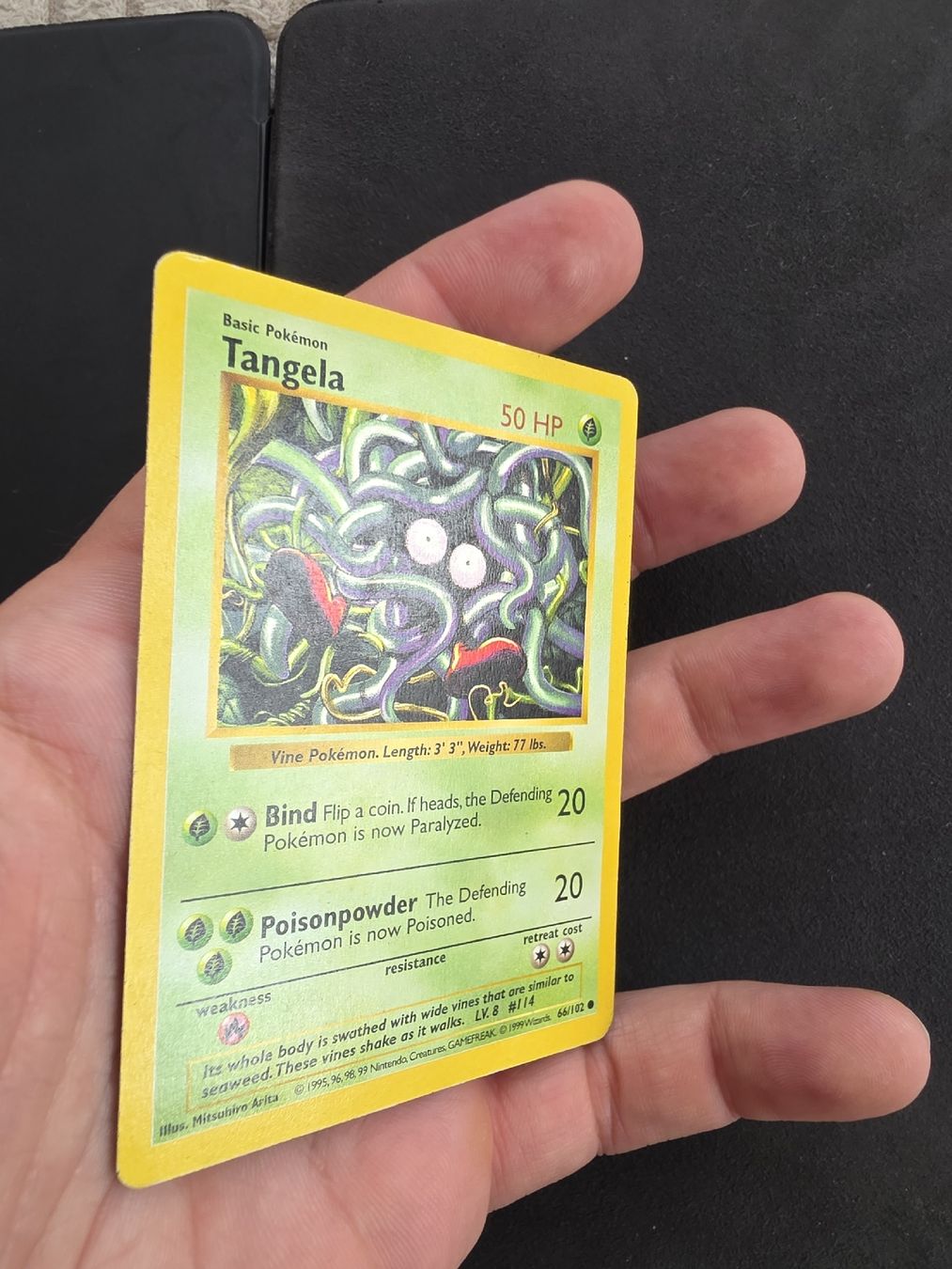 Pokémon Cartes à collectionner: Pokemon Karte Tangela Base Set Shadowless – D'occasion à oberbuchsiten par thug4 1
