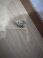 Antike Amphore, Deko, Für Aquarium