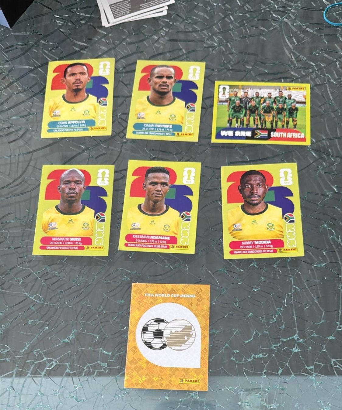 Panini Carte collezionabili: WM 2026 - Panini - South Africa – Usato da Pfäffikon ZH venduto da Marcodesi76