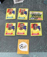 WM 2026 - Panini - South Africa