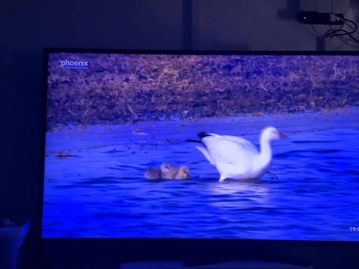 Televisori: LG 65“ – Usato da Fulenbach venduto da dt_21 5