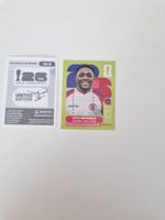 Panini Sticker HAI8
