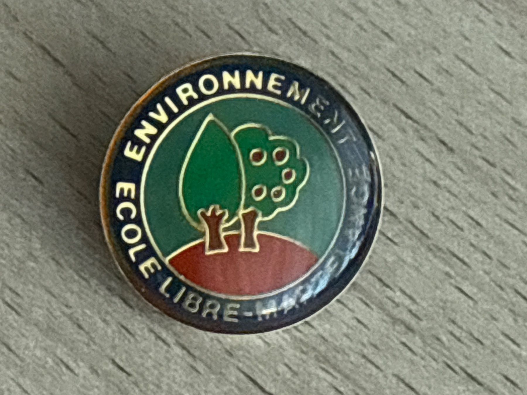 Plaketten & Abzeichen: Pin Environnement Ecole Libre – Gebraucht aus Glattbrugg von Schweigmatt