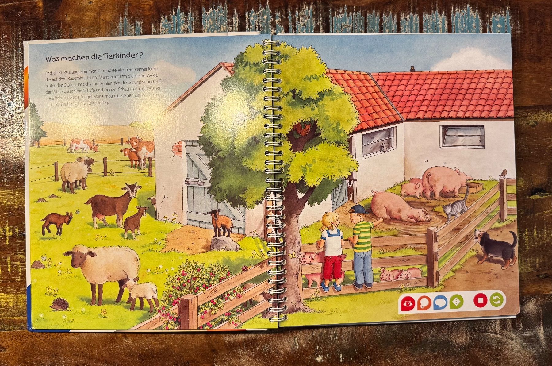 Libri: TipToi Buch - Entdecke den Bauernhof – Usato da Flumenthal venduto da Krajan 1