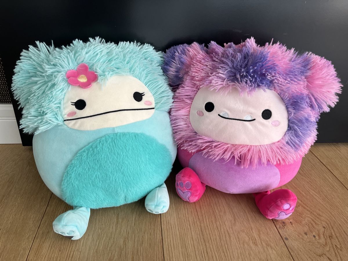 Squishmallows Giocattoli: Squishmallows Plüschtier-Set, super Zustand! – Usato da Staufen venduto da F14_tomcat