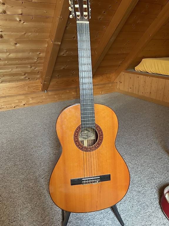 Strumenti musicali: Akustik Gitarre – Usato da Arni BE venduto da _sabriiina__