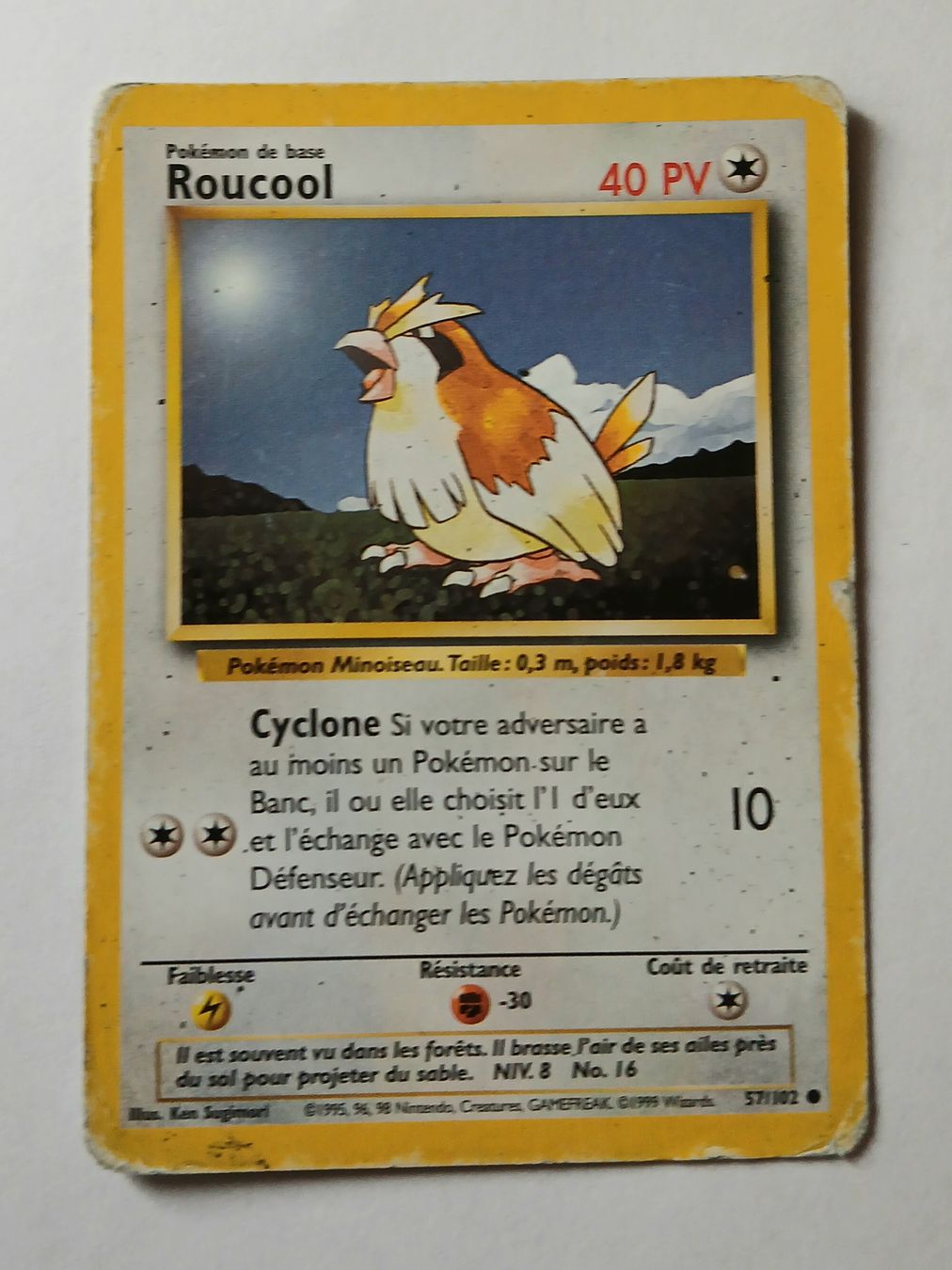 Pokémon Carte collezionabili: Carte Pokémon Roucool FR 1999 – Usato da Sciernes-d'Albeuve venduto da Dojo004