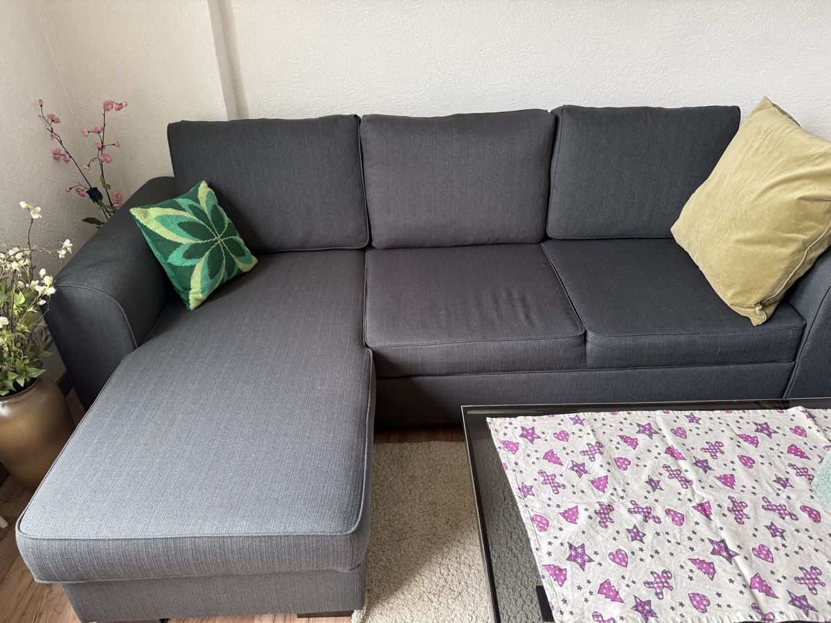 Divani: Sofa – Usato da Schlieren venduto da Flower5