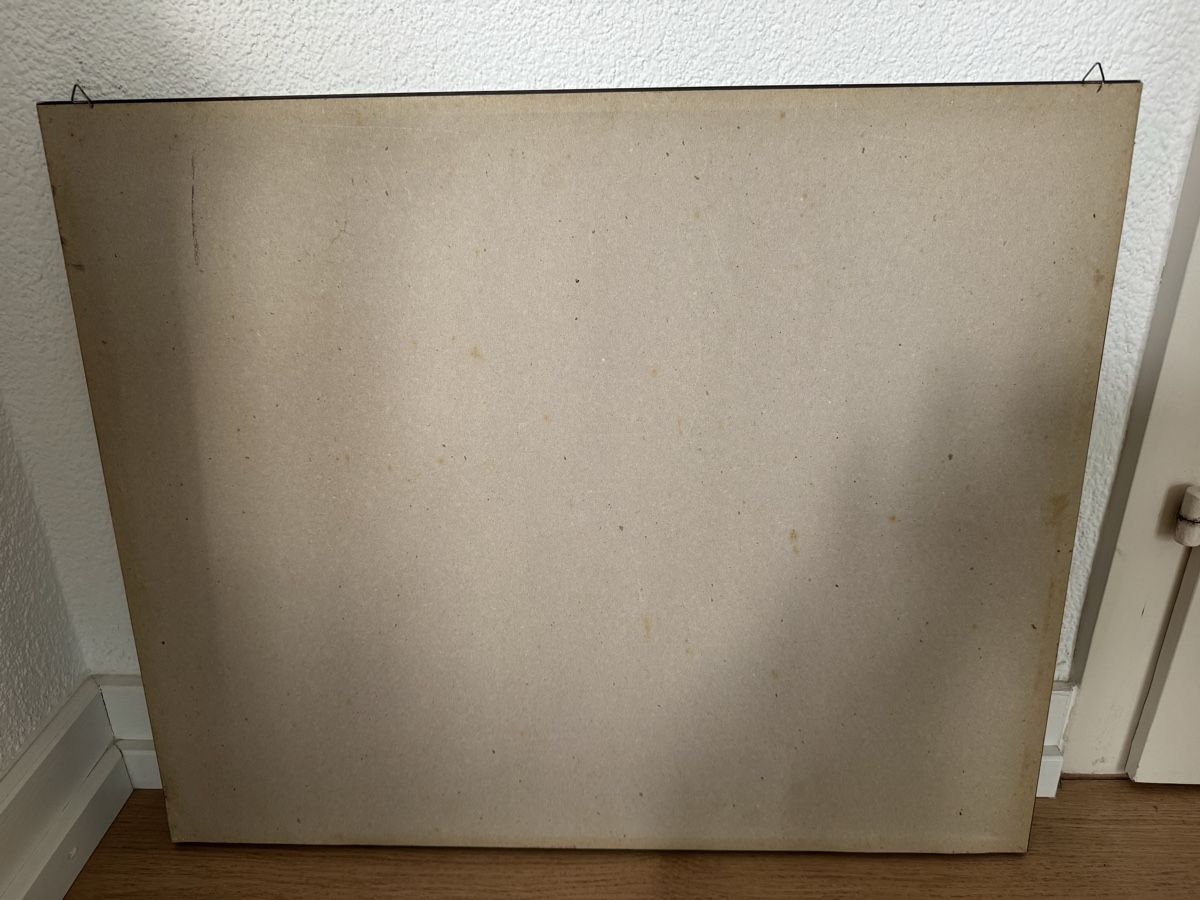 Grafiken & Lithographien: Bild, gerahmt von Marco Richterich – Gebraucht aus Binningen von Caudiamima 4