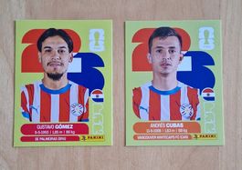 WM- Panini 2026 Sticker Paraguay