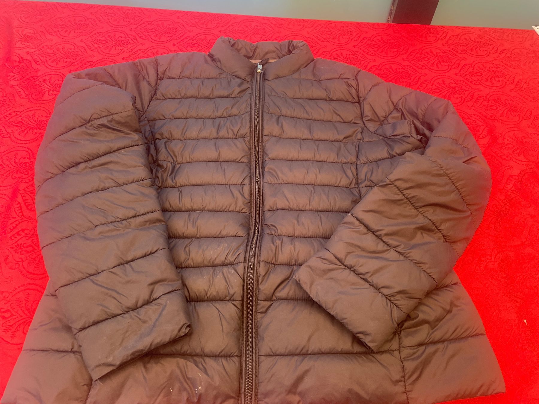 Giacche: Damen Steppjacke XL schwarz – Usato da Bergdietikon venduto da antovale