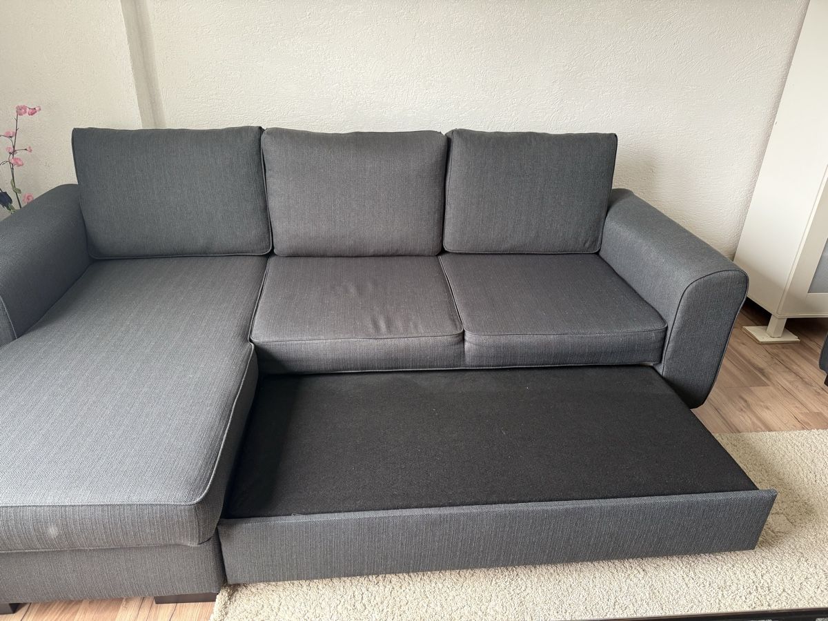 Divani: Sofa – Usato da Schlieren venduto da Flower5 7