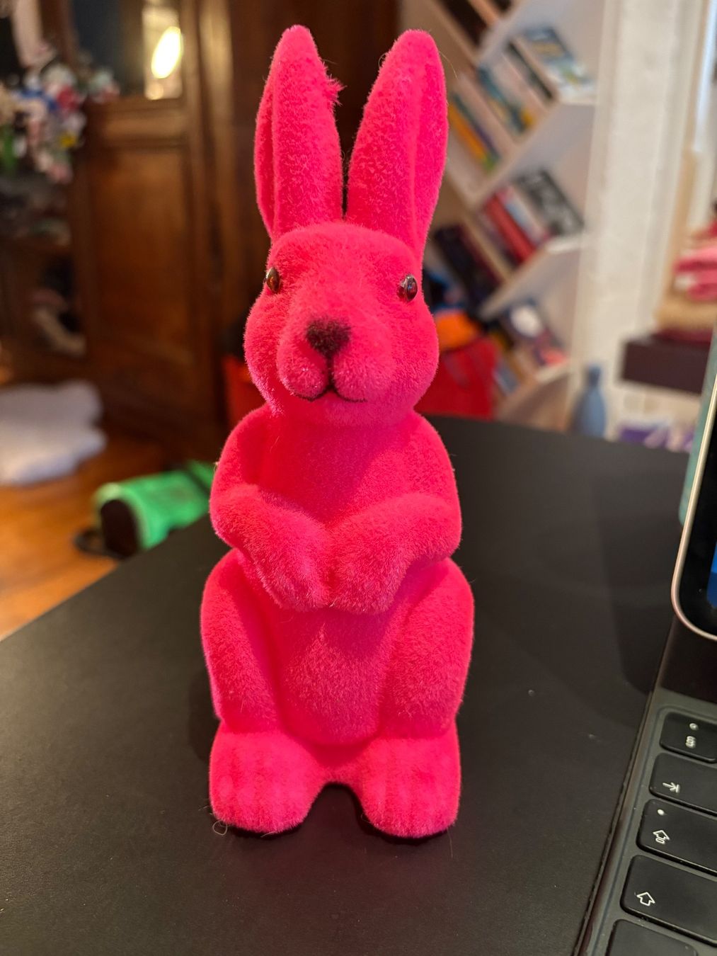 Tutte le decorazioni: Lapin décoratif rose Pâques objet déco printemps – Usato da Lausanne venduto da reb_vpy7