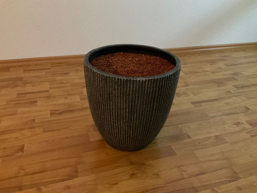 Grosser Blumentopf (indoor) mit Seramis gefüllt, 40 cm hoch Kaufen