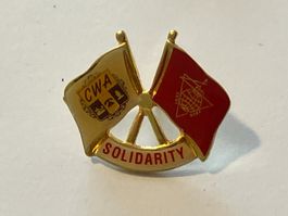 1 Pin Solidarity