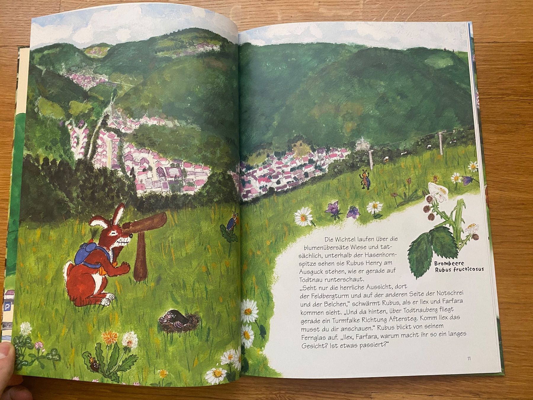 Bücher: Der Zauberweg am Hasenhorn – Neu (gemäss Beschreibung) aus Muttenz von Bugijeta 4