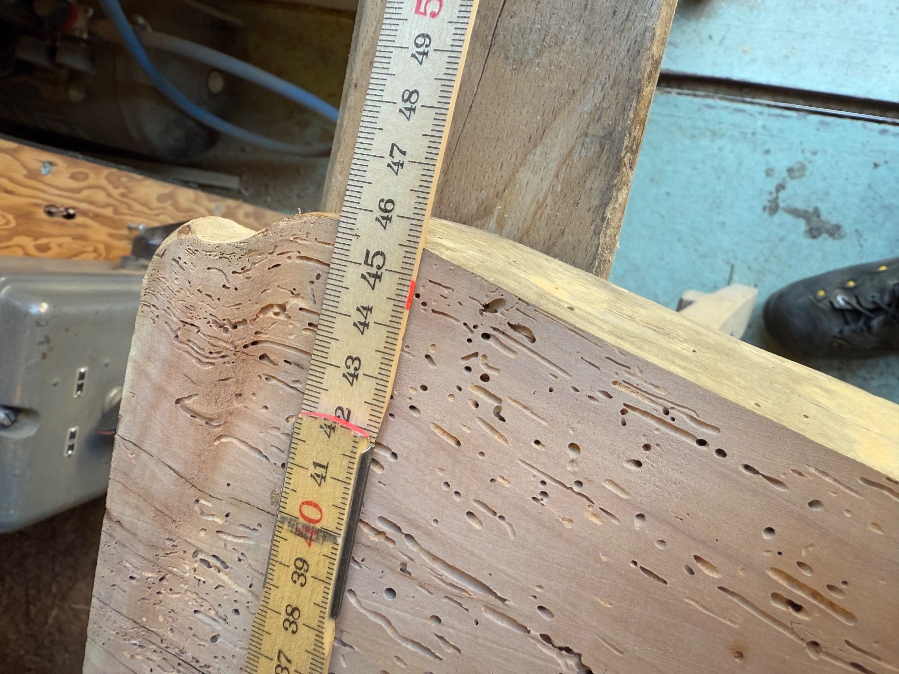 Articoli in legno: Apfel Brett wurmig trocken – Nuovo (secondo la descrizione) da Holziken venduto da Timbergrizzly 9