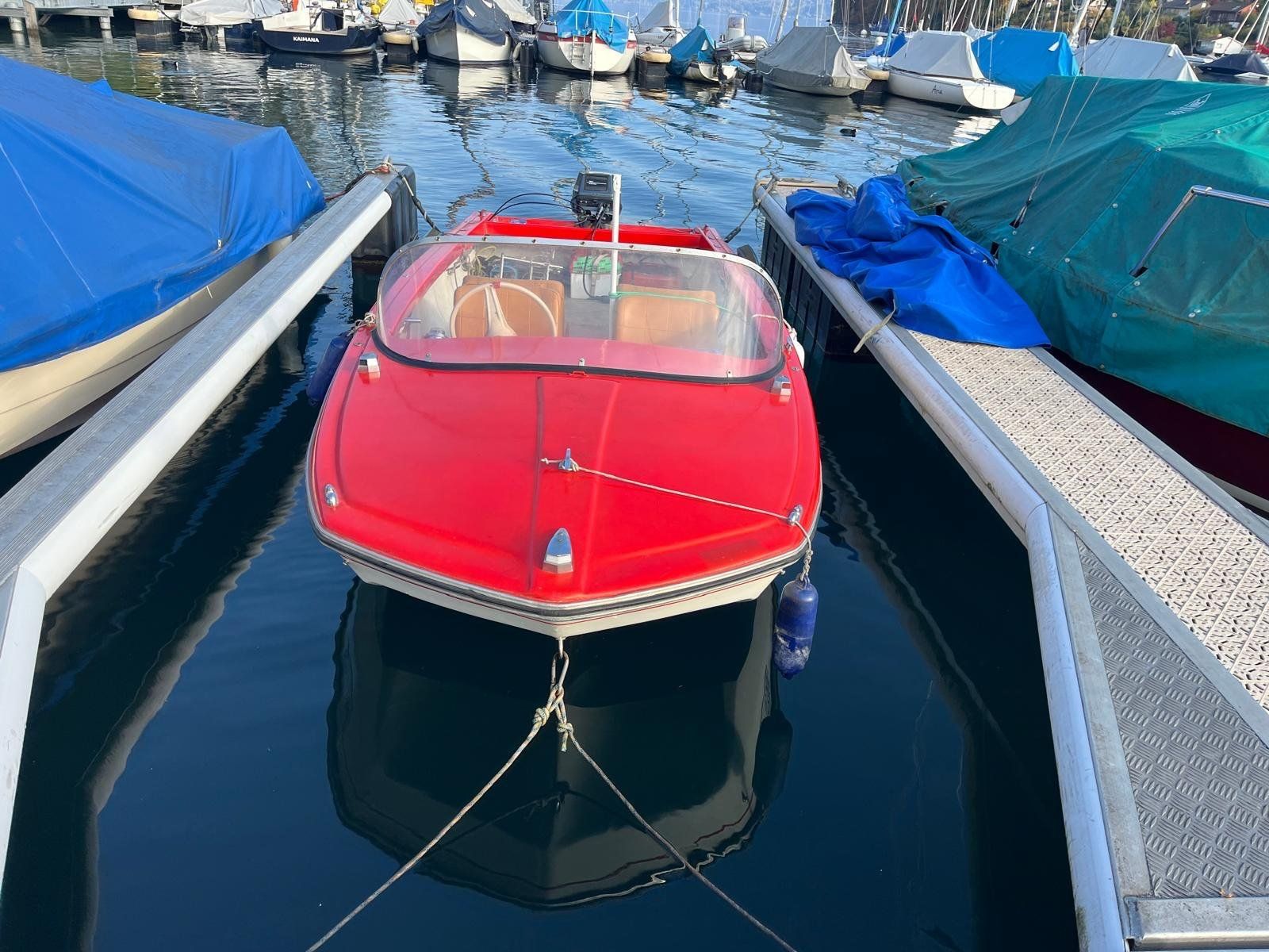 Schweizer Barche: Motorboot Schweizer / Flipper 440 – Difettoso da Thun venduto da Biaggi1 1