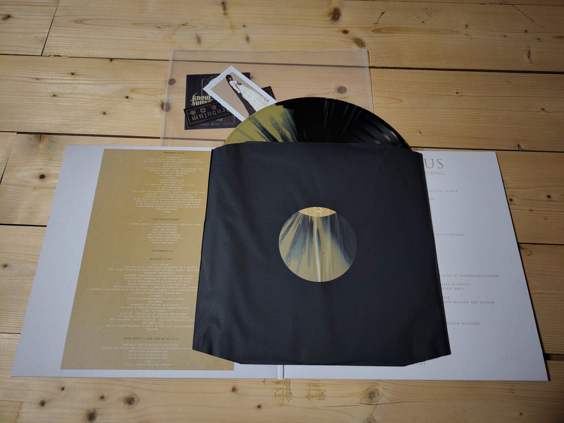 Schallplatten: So Hideous - None But A Pure Heart Can Sing – Gebraucht aus Wasterkingen von Palu17 1