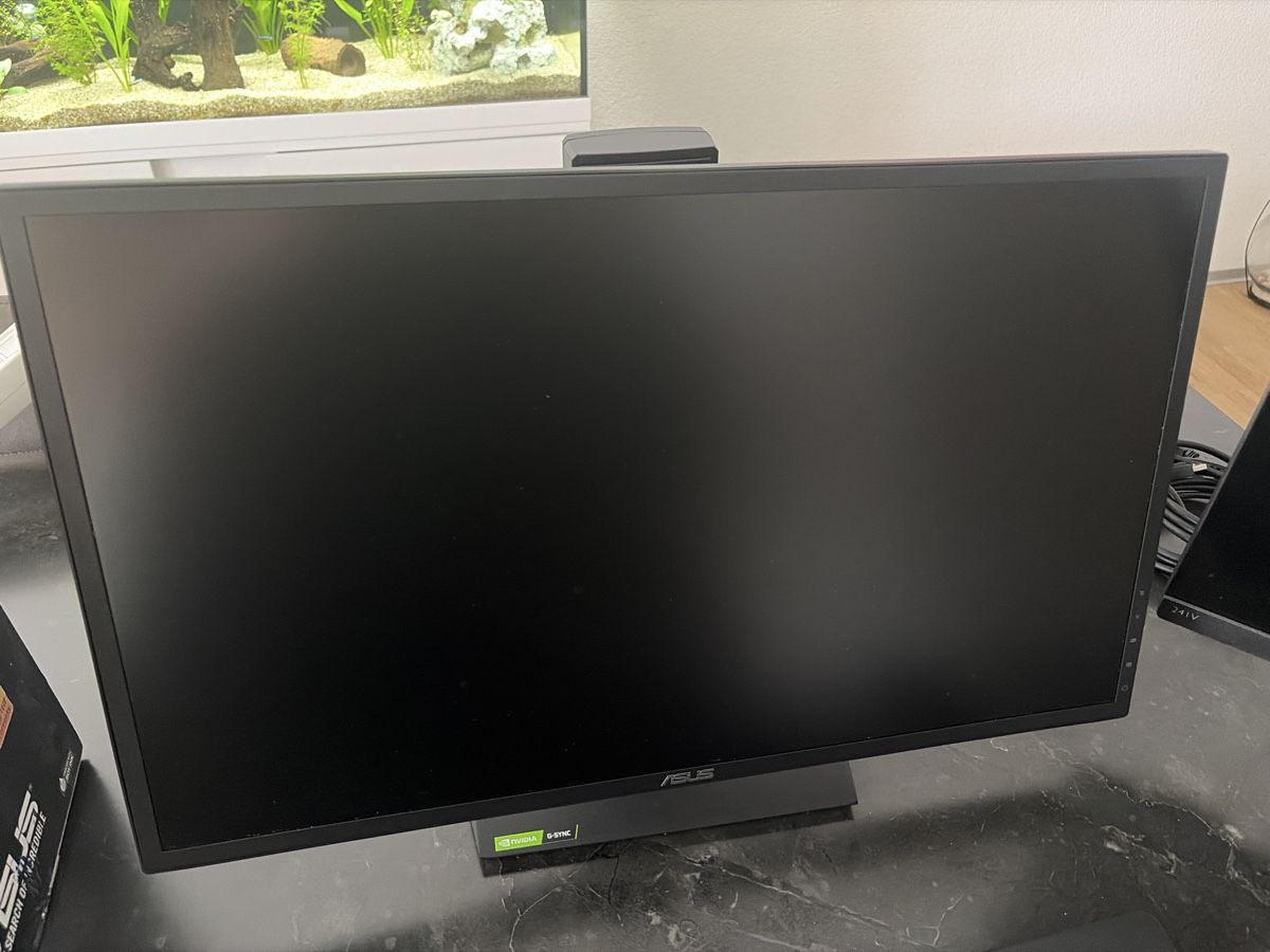 Asus Monitor: ASUS Gaming Monitor – Usato da Oeschgen venduto da san_s6f8