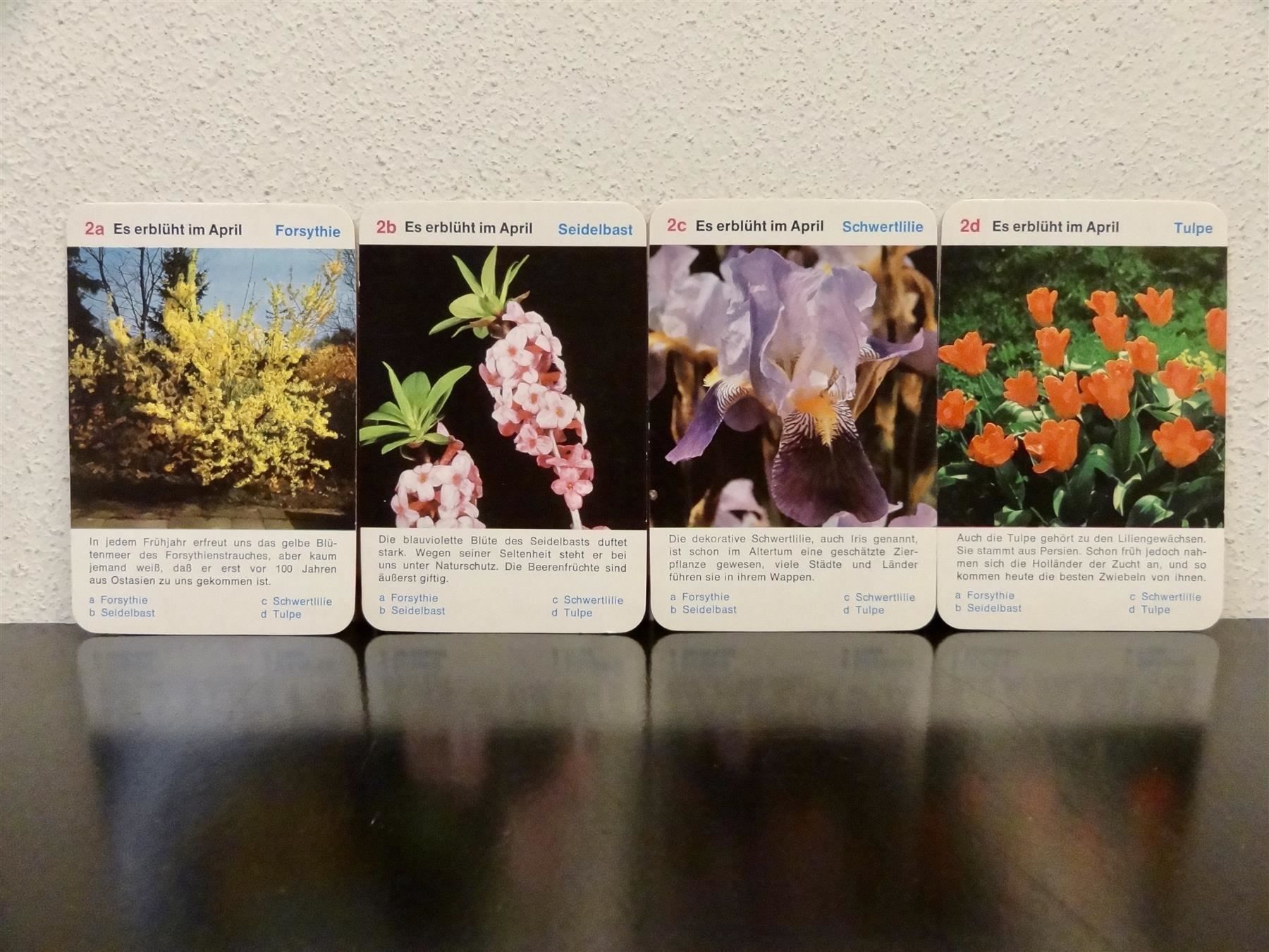 Giochi: altes Quartett BLUMEN-QUARTETT BLUMEN – Usato da Kerzers venduto da wisaundso 4