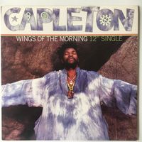Capleton ‎– Wings Of The Morning (12")