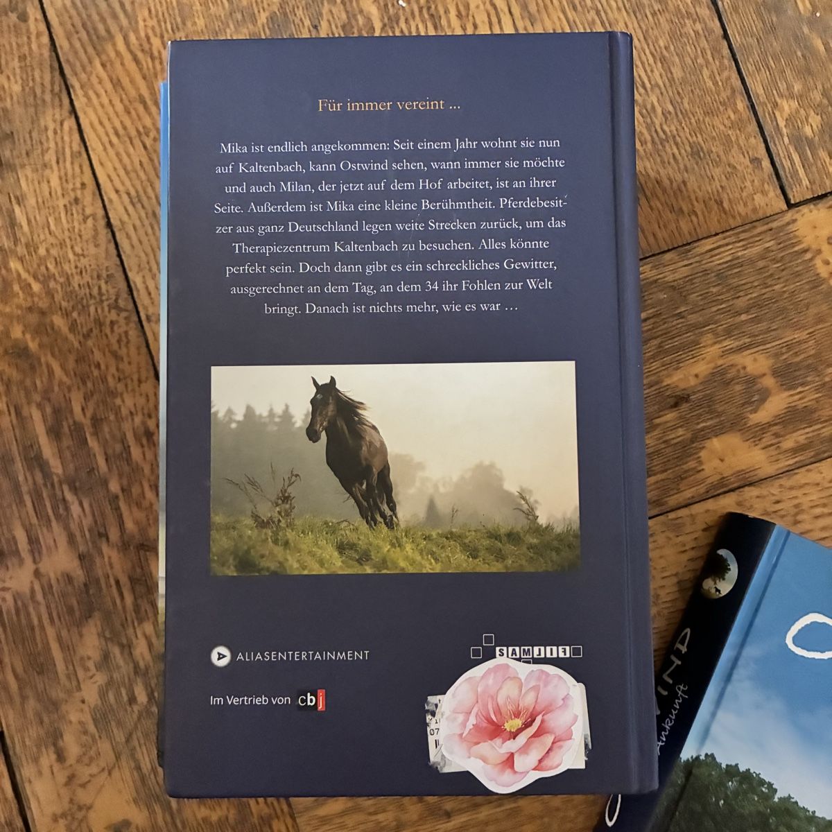 Libri: Ostwind 6 Bände – Usato da Winterthur venduto da bunteperlen 3