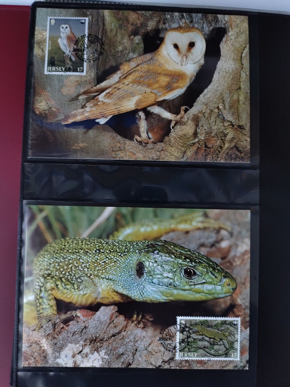 Tutti i francobolli: WWF Sammlung gefährdete Tierarten Jersey Briefmarken – Nuovo (secondo la descrizione) da Greifensee venduto da Retepw 7