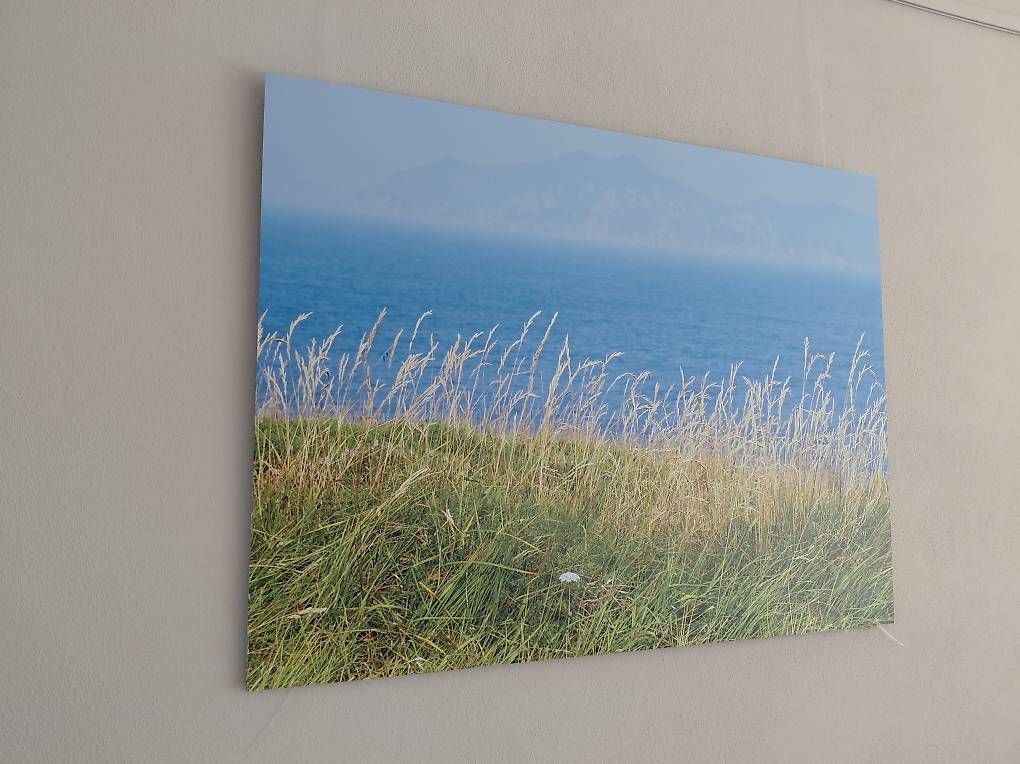 Foto & Immagini: Wandbild Landschaft rechteckig – Usato da Binningen venduto da eli_rcf2 2