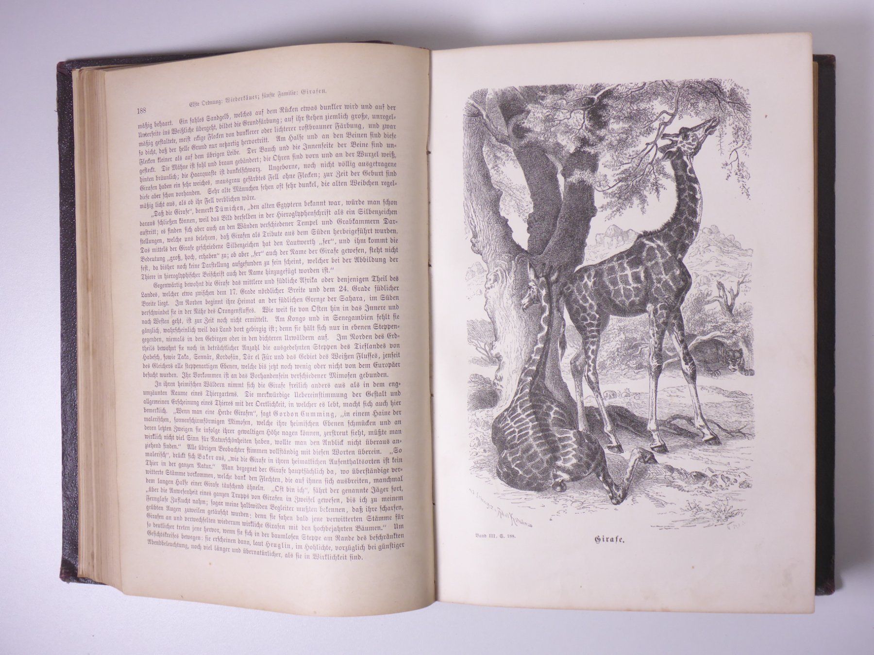 Libri: Brehms Thierleben (Tierleben) 3 Bände. – Usato da Erschwil venduto da taglang 9